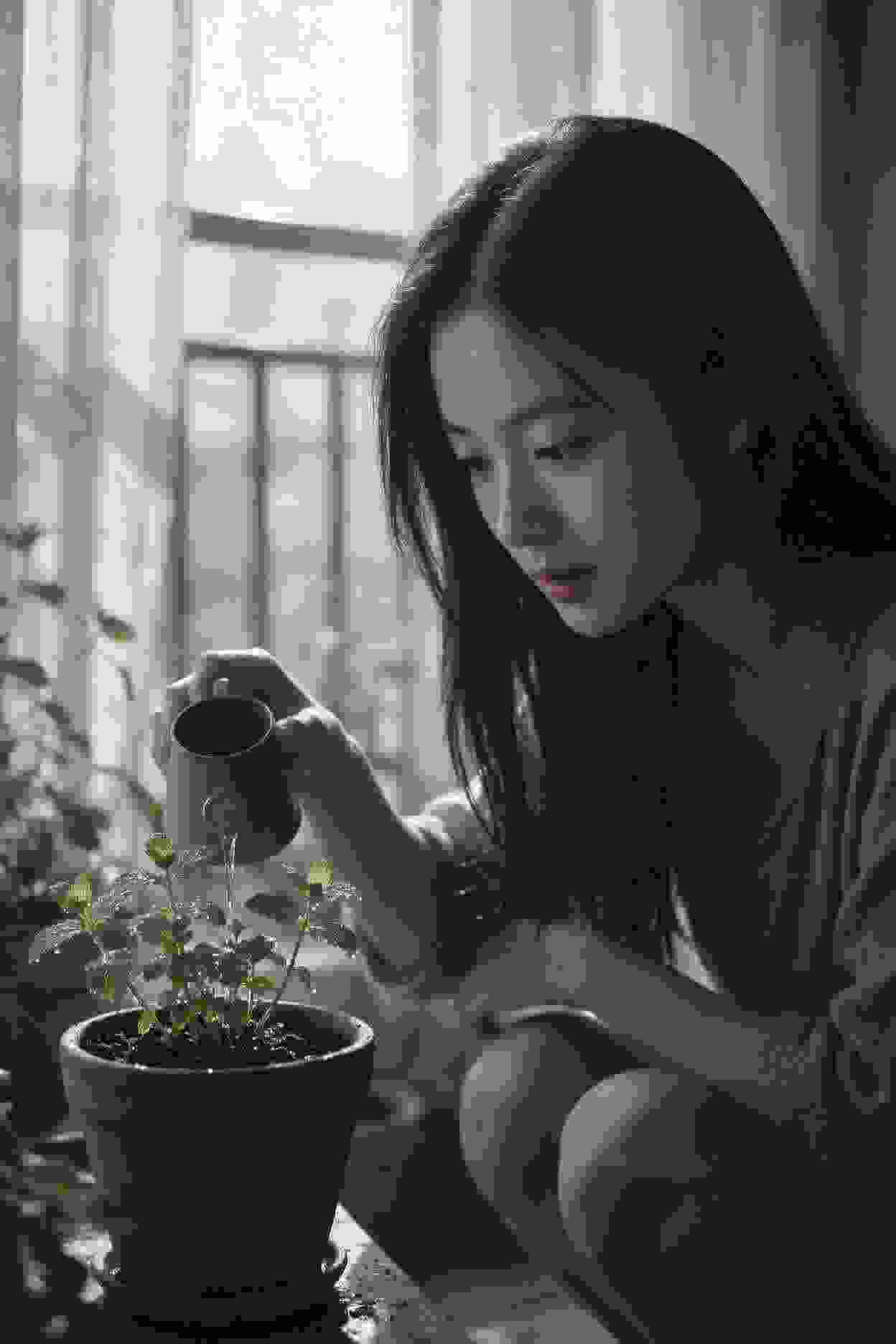 豪门谍战